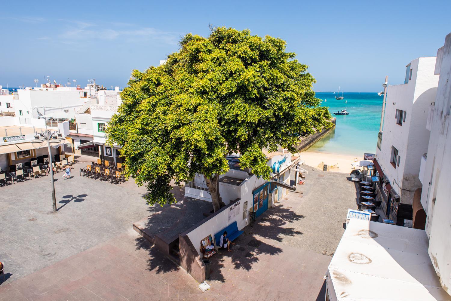 4Rooms Fuerteventura 科拉雷侯 外观 照片